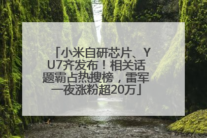 小米自研芯片、YU7齐发布！相关话题霸占热搜榜，雷军一夜涨粉超20万