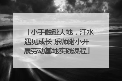 小手触碰大地，汗水遇见成长 乐师附小开展劳动基地实践课程