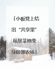 小板凳上结出“共享果” 私垦菜地变身睦邻农场