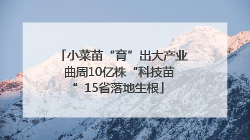 小菜苗“育”出大产业 曲周10亿株“科技苗”15省落地生根