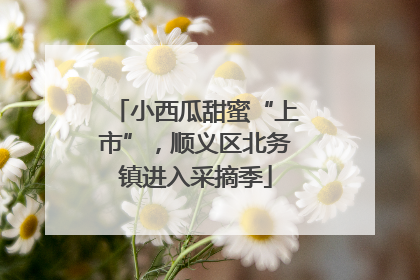 小西瓜甜蜜“上市”，顺义区北务镇进入采摘季