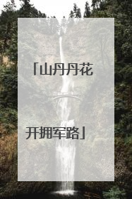 山丹丹花开拥军路
