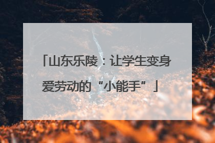 山东乐陵：让学生变身爱劳动的“小能手”