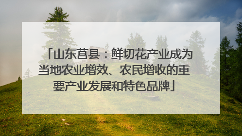 山东莒县：鲜切花产业成为当地农业增效、农民增收的重要产业发展和特色品牌