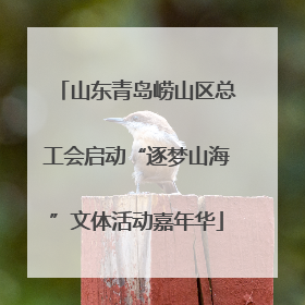 山东青岛崂山区总工会启动“逐梦山海”文体活动嘉年华