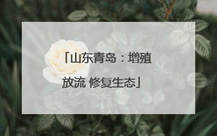 山东青岛：增殖放流 修复生态