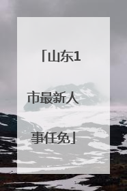 山东1市最新人事任免
