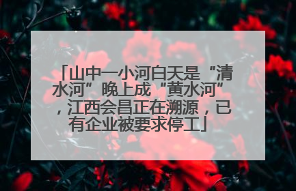 山中一小河白天是“清水河”晚上成“黄水河”，江西会昌正在溯源，已有企业被要求停工