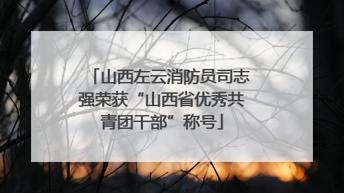 山西左云消防员司志强荣获“山西省优秀共青团干部”称号