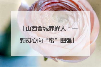 山西晋城养蜂人：一颗初心向“蜜”图强