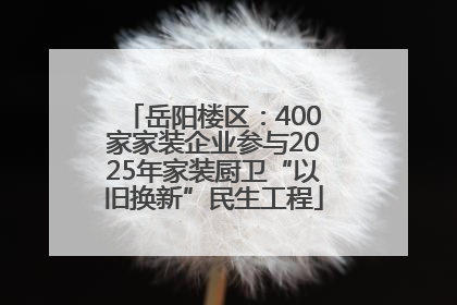 岳阳楼区：400家家装企业参与2025年家装厨卫“以旧换新”民生工程
