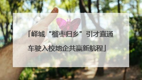 峄城“榴枣归乡”引才直通车驶入校地企共赢新航程