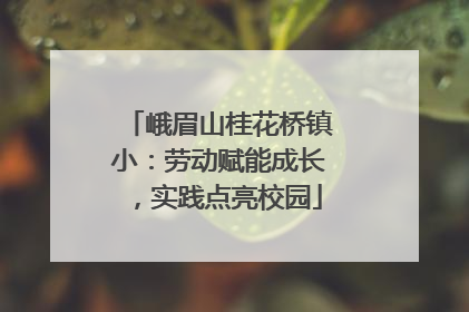 峨眉山桂花桥镇小：劳动赋能成长，实践点亮校园