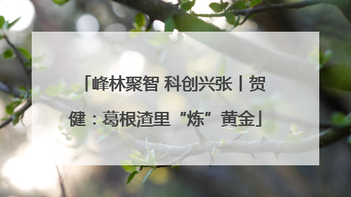 峰林聚智 科创兴张丨贺健：葛根渣里“炼”黄金