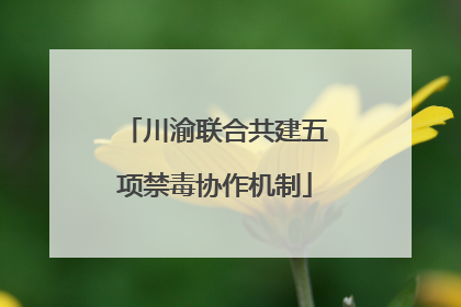 川渝联合共建五项禁毒协作机制