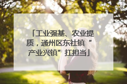 工业强基、农业提质，通州区东社镇“产业兴镇”扛担当