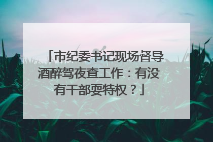 市纪委书记现场督导酒醉驾夜查工作：有没有干部耍特权？