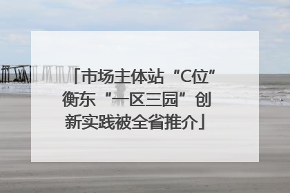 市场主体站“C位” 衡东“一区三园”创新实践被全省推介