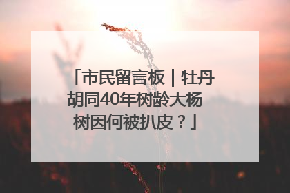 市民留言板｜牡丹胡同40年树龄大杨树因何被扒皮？