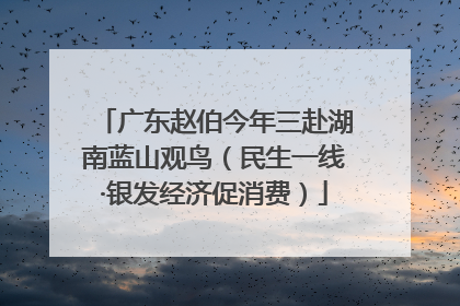 广东赵伯今年三赴湖南蓝山观鸟（民生一线·银发经济促消费）