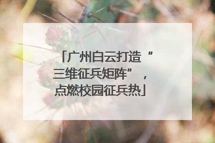 广州白云打造“三维征兵矩阵”，点燃校园征兵热