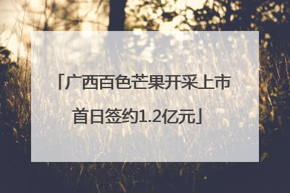 广西百色芒果开采上市 首日签约1.2亿元