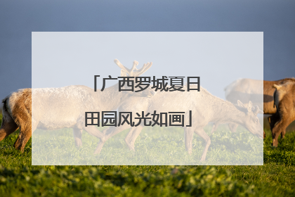 广西罗城夏日田园风光如画