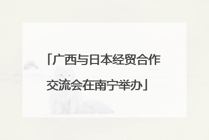 广西与日本经贸合作交流会在南宁举办