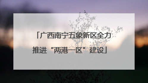 广西南宁五象新区全力推进“两港一区”建设