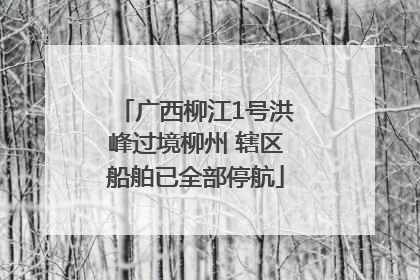 广西柳江1号洪峰过境柳州 辖区船舶已全部停航