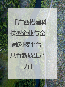 广西搭建科技型企业与金融对接平台 共育新质生产力