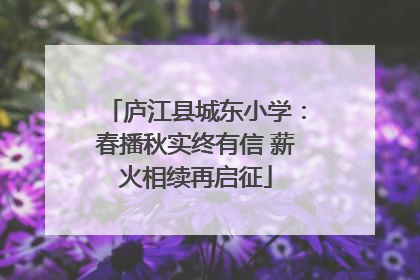 庐江县城东小学：春播秋实终有信 薪火相续再启征