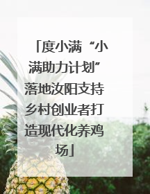 度小满“小满助力计划”落地汝阳支持乡村创业者打造现代化养鸡场
