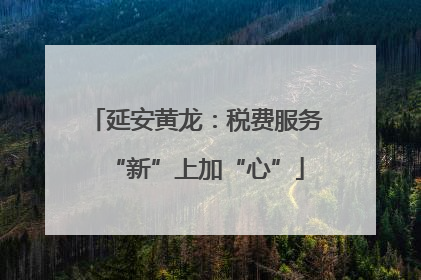 延安黄龙：税费服务“新”上加“心”