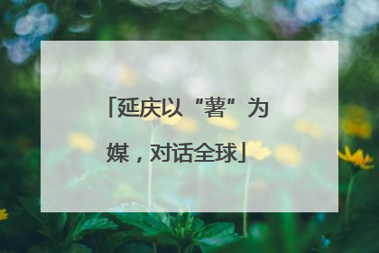 延庆以“薯”为媒，对话全球