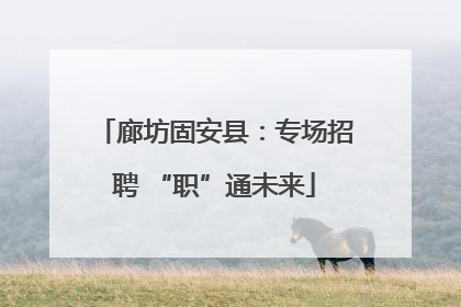 廊坊固安县：专场招聘 “职”通未来