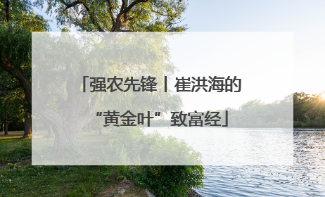 强农先锋丨崔洪海的“黄金叶”致富经