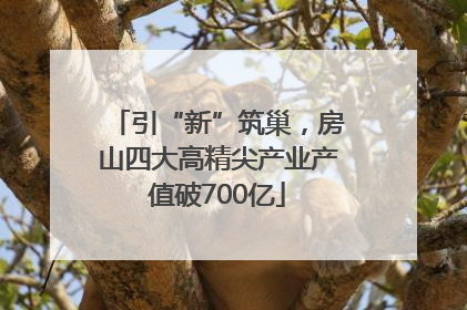 引“新”筑巢，房山四大高精尖产业产值破700亿
