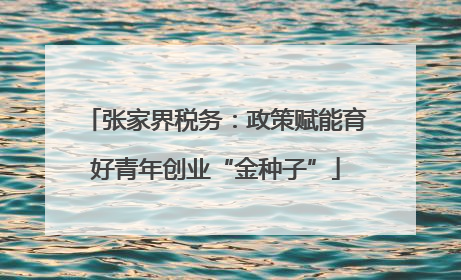 张家界税务：政策赋能育好青年创业“金种子”