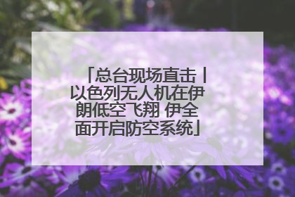 总台现场直击丨以色列无人机在伊朗低空飞翔 伊全面开启防空系统
