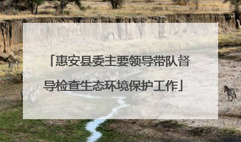 惠安县委主要领导带队督导检查生态环境保护工作