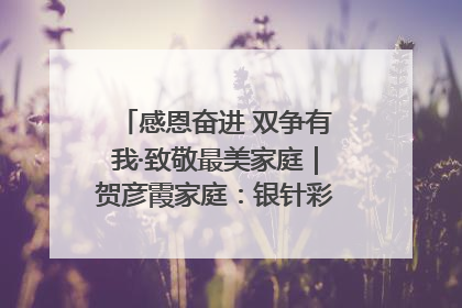 感恩奋进 双争有我·致敬最美家庭｜贺彦霞家庭：银针彩线绣出好日子