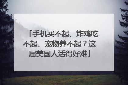 手机买不起、炸鸡吃不起、宠物养不起？这届美国人活得好难
