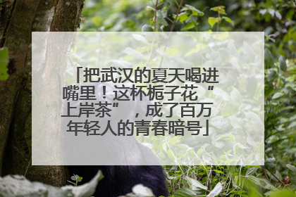 把武汉的夏天喝进嘴里！这杯栀子花“上岸茶”，成了百万年轻人的青春暗号
