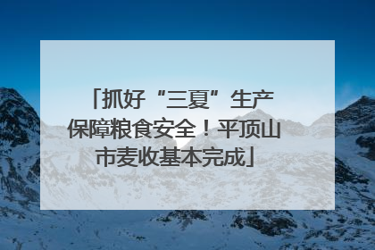 抓好“三夏”生产 保障粮食安全！平顶山市麦收基本完成