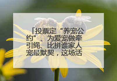 投票定“养宠公约”、为爱宠做牵引绳、比拼谁家人宠最默契，这场活动有趣更有意义