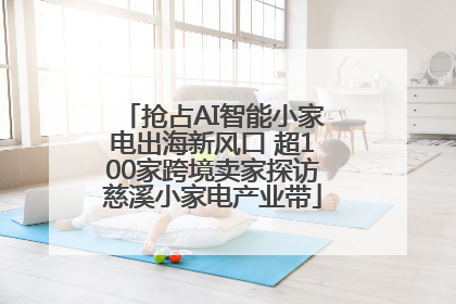 抢占AI智能小家电出海新风口 超100家跨境卖家探访慈溪小家电产业带