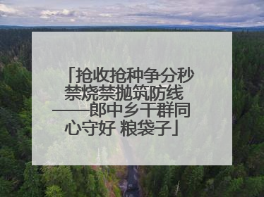 抢收抢种争分秒 禁烧禁抛筑防线——郎中乡干群同心守好 粮袋子