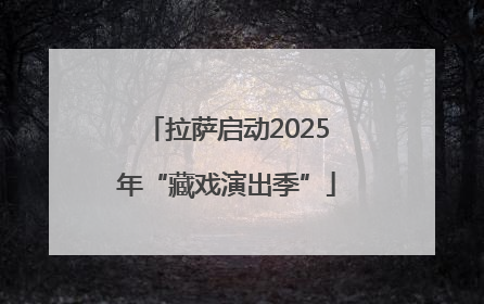 拉萨启动2025年“藏戏演出季”