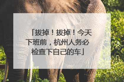拔掉！拔掉！今天下班前，杭州人务必检查下自己的车